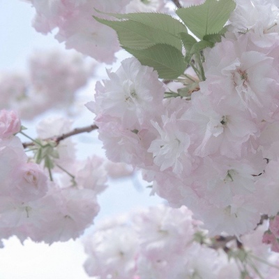 兽设星空场景创作兽圈群